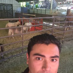 Meet your Posher, Julio